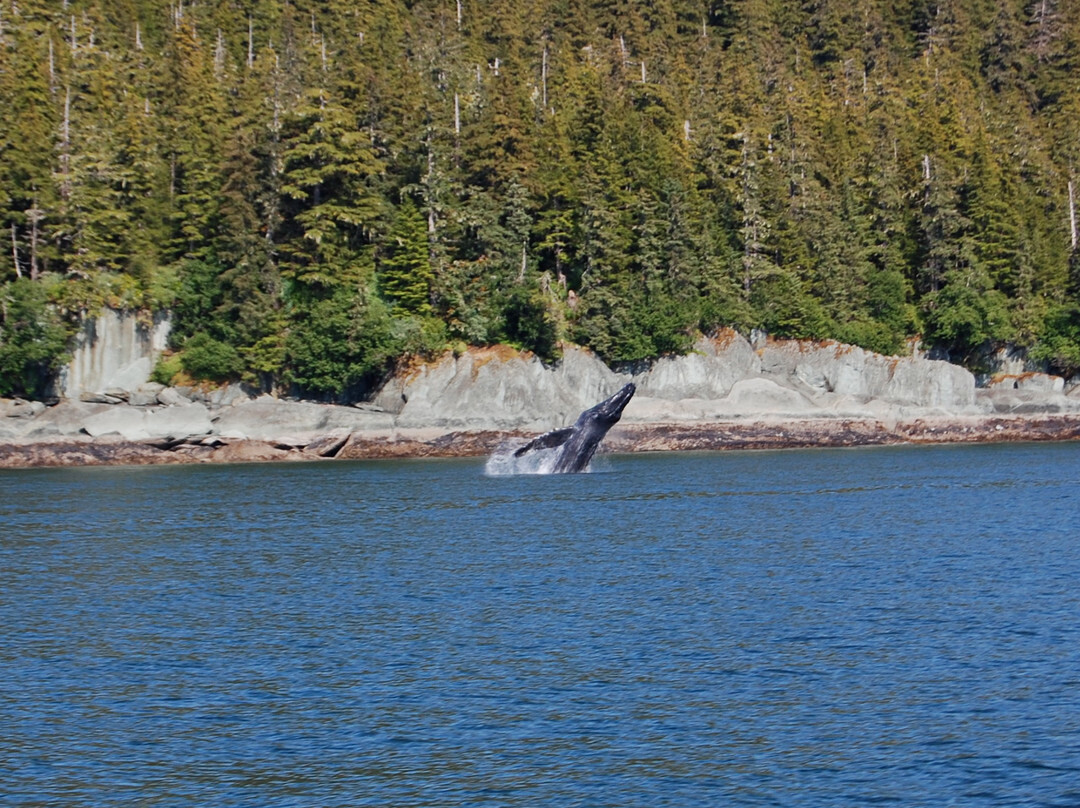 特雷西手臂峡湾-朱诺必去景点
