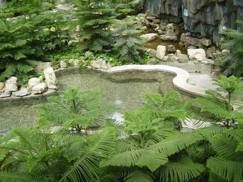 凤山温泉度假村主图