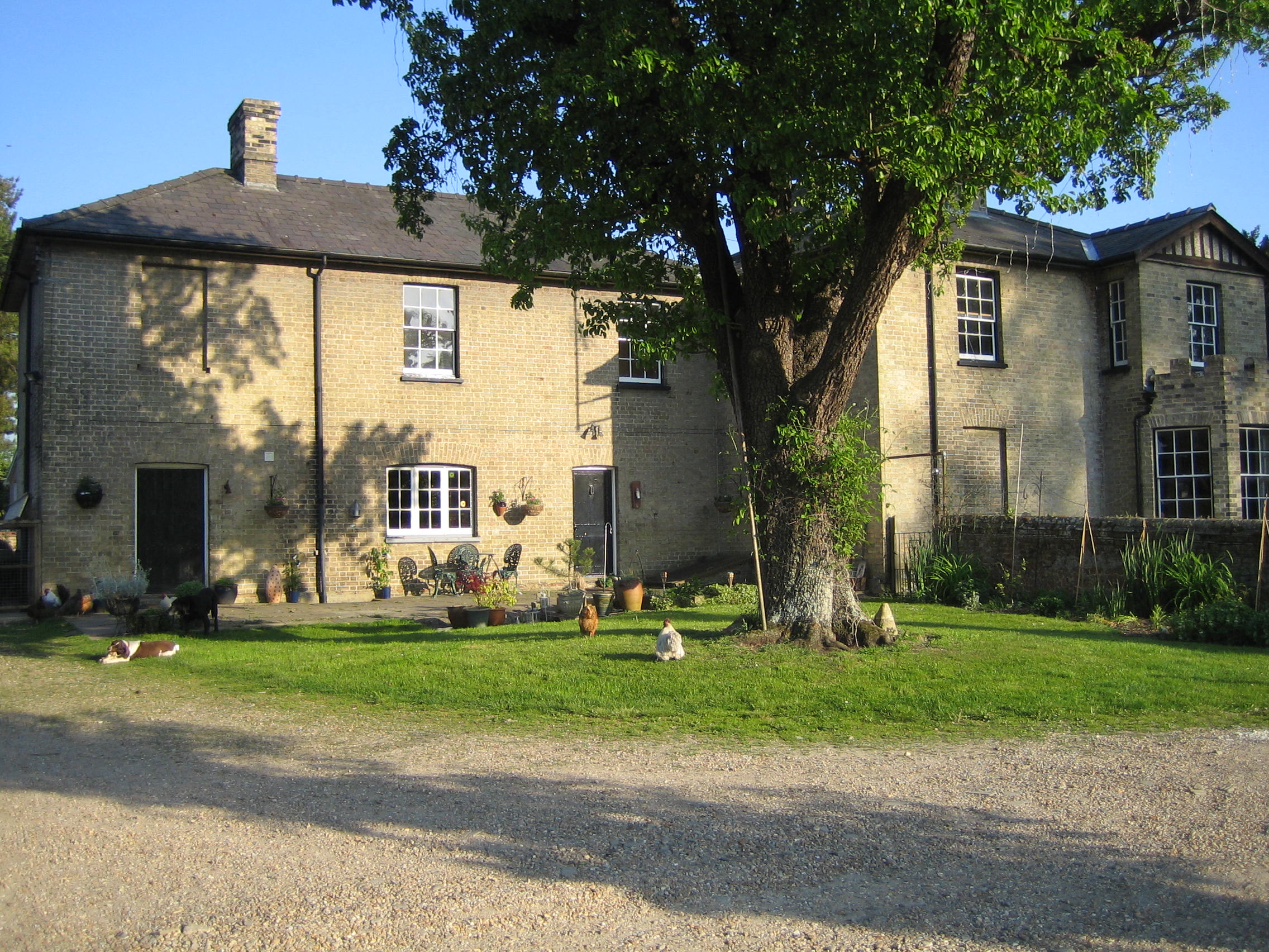 Beech Farm-官方