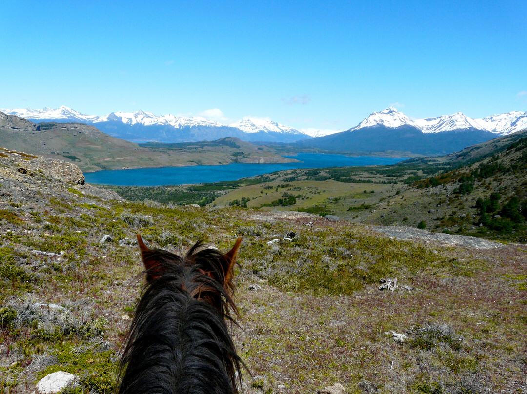 Pingo Salvaje-纳塔莱斯港必去景点