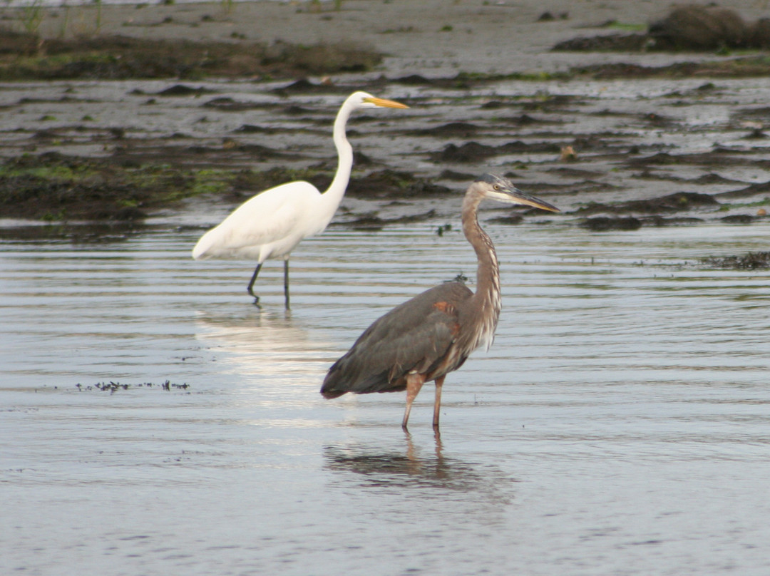 Daisey's Island Cruises-钦科蒂格岛必去景点