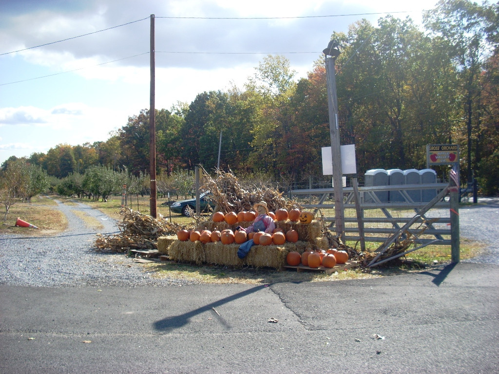 A.J. Gross & Sons Orchard-Bedford必去景点