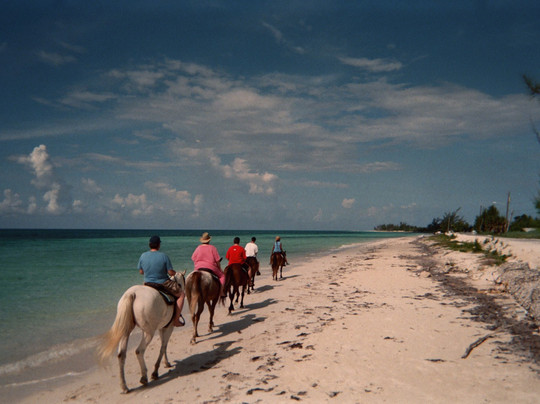 Pinetree Stables-弗里波特必去景点