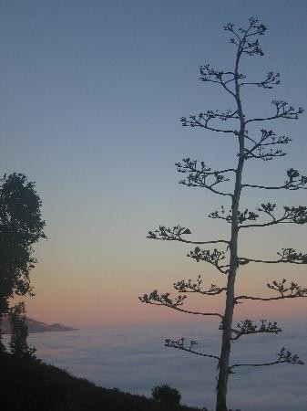 New Camaldoli Hermitage-大苏尔必去景点