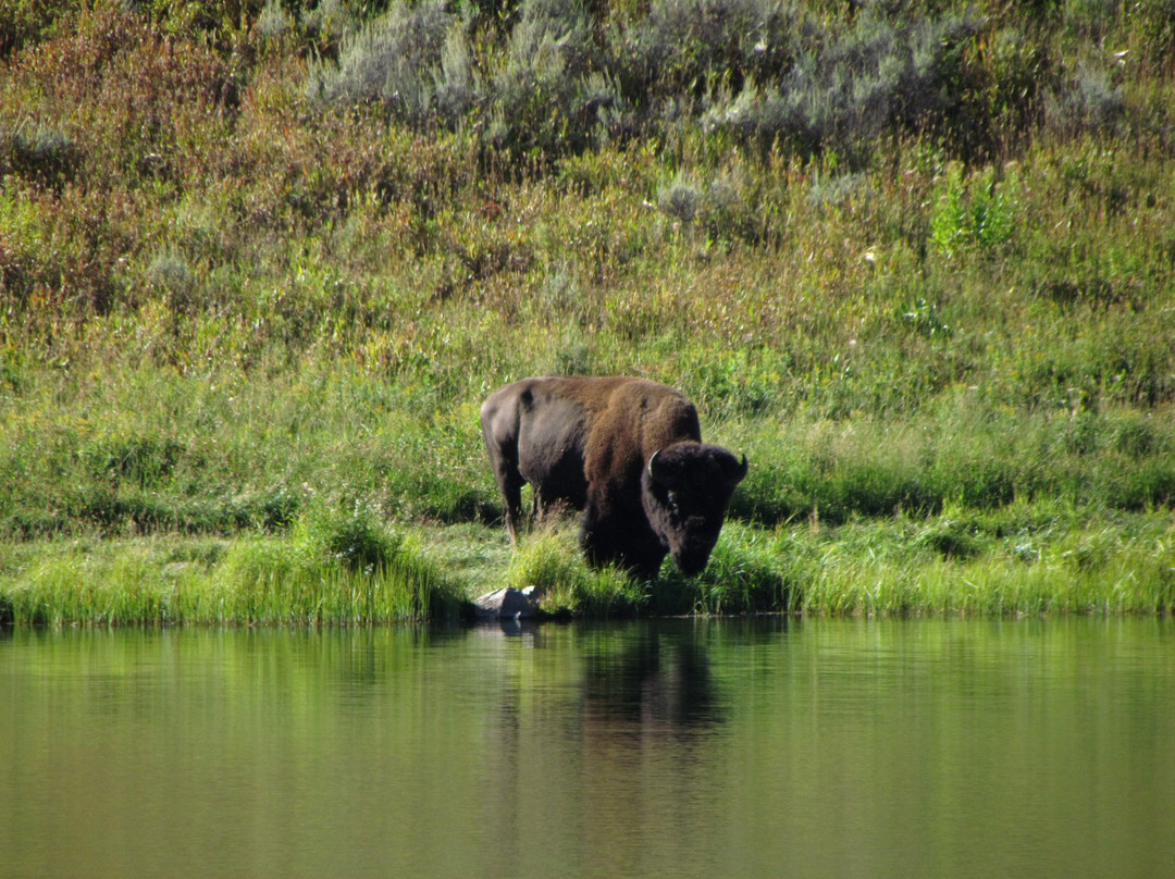 Trout Lake Trail景点图片
