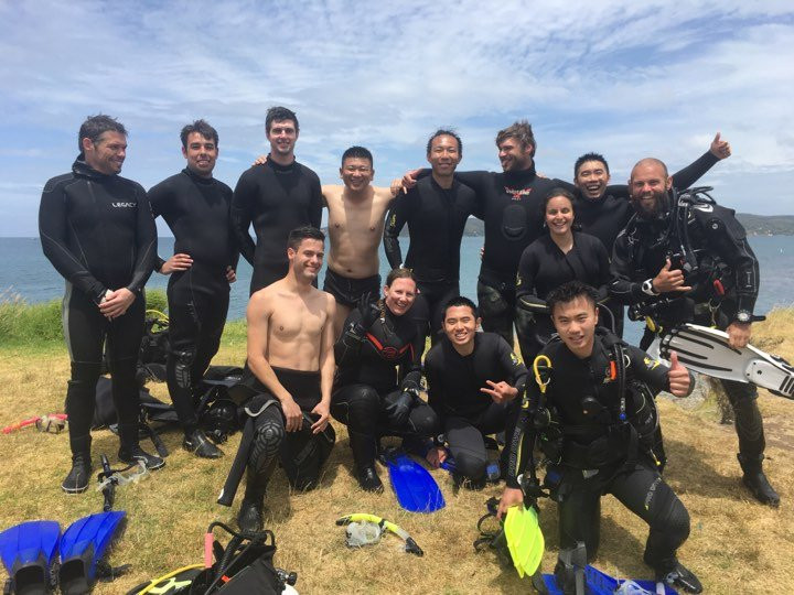 Performance Diver NZ景点图片