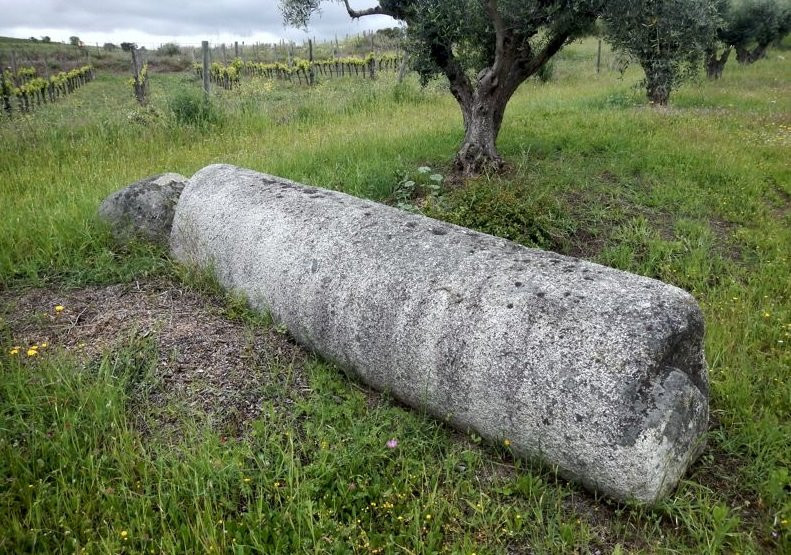 Nucleo de seis menires, na Herdade dos Perdigoes景点图片