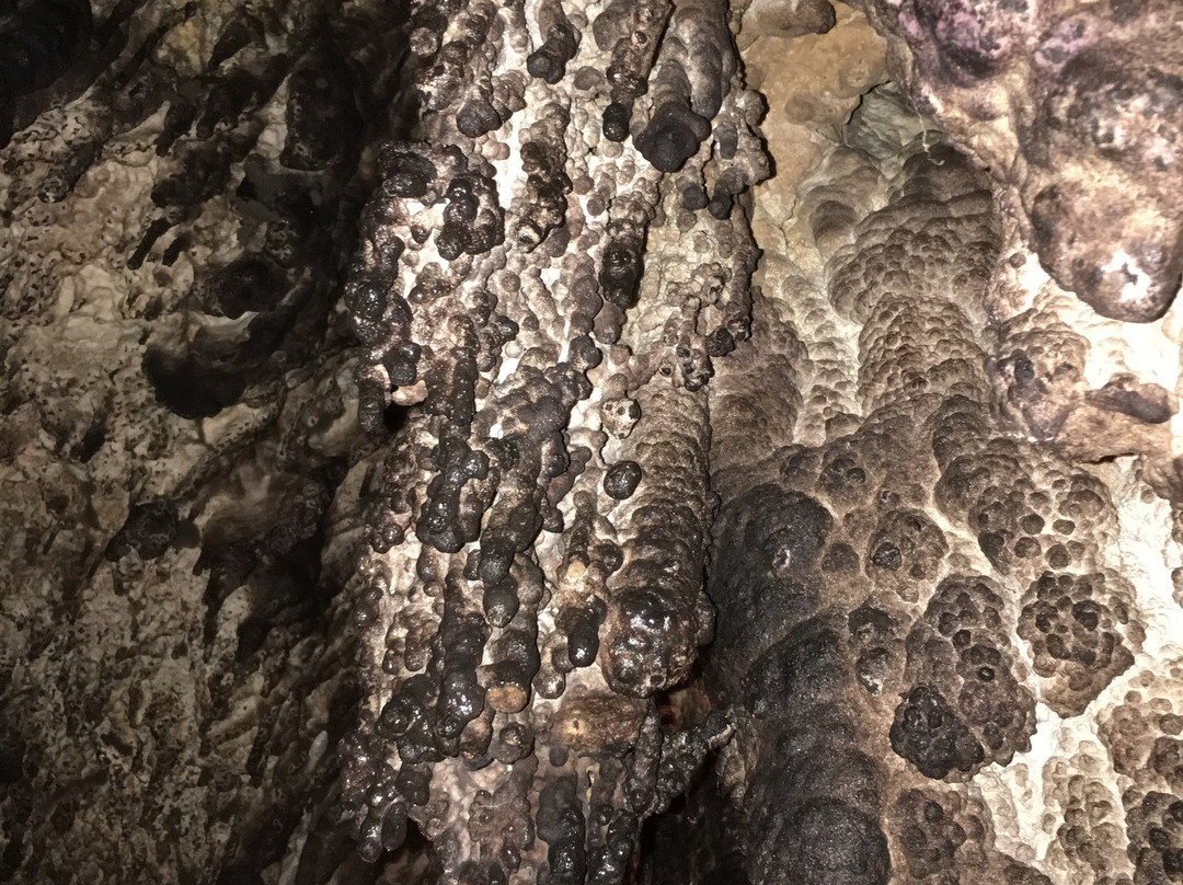 Hayingen酒店住宿-Brauerei Blank Gastehaus