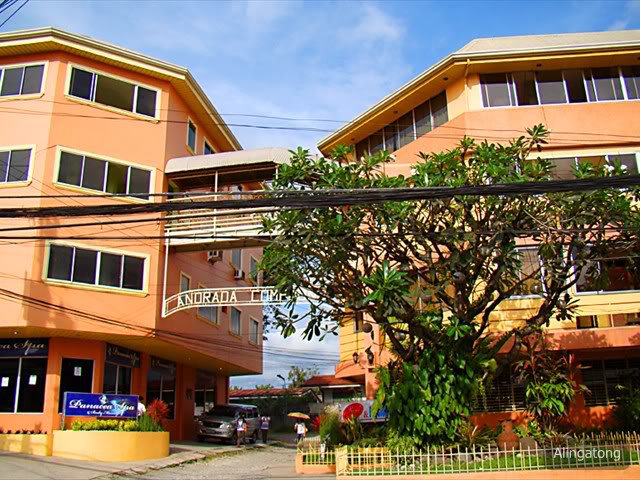 Rene's Diner and Pension House-客卧