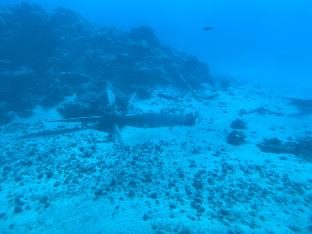Saipan Submarine景点图片