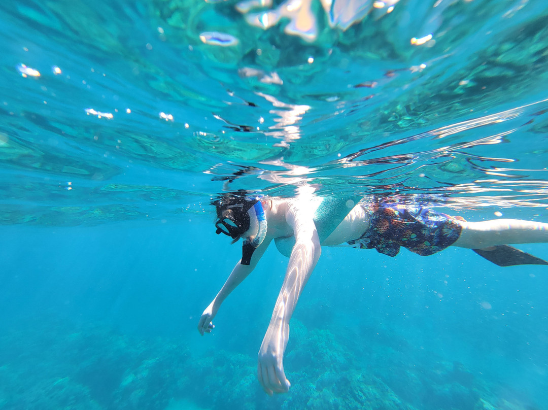 The Magic Merman Snorkel Charters景点图片