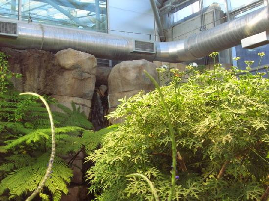 田纳西水族馆-查塔努加必去景点