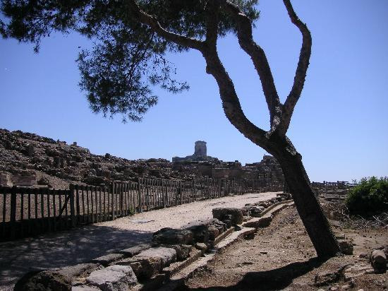 Area Archeologica di Nora-普拉必去景点