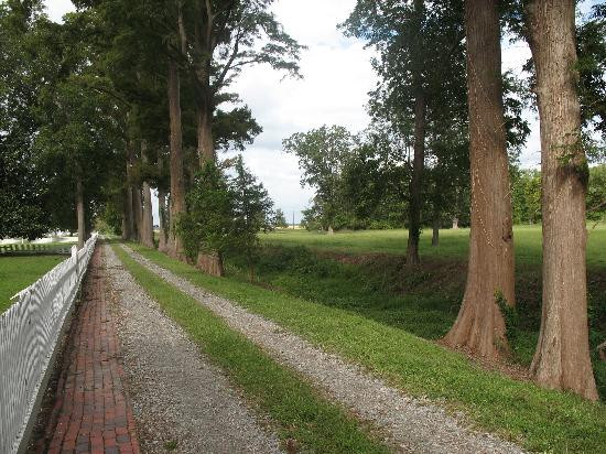 Somerset Place State Historic Site景点图片