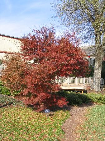 Huntsville Botanical Garden-亨茨维尔必去景点
