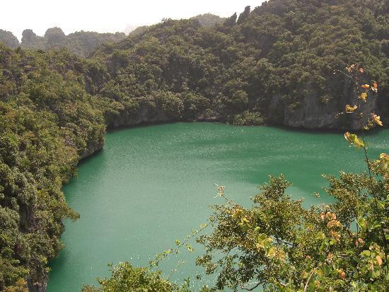 东方百分百潜水-苏梅岛必去景点