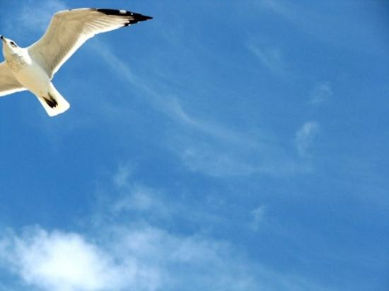 Hammonasset Beach State Park-麦迪逊必去景点