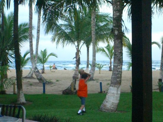 Playa Puerto Viejo景点图片