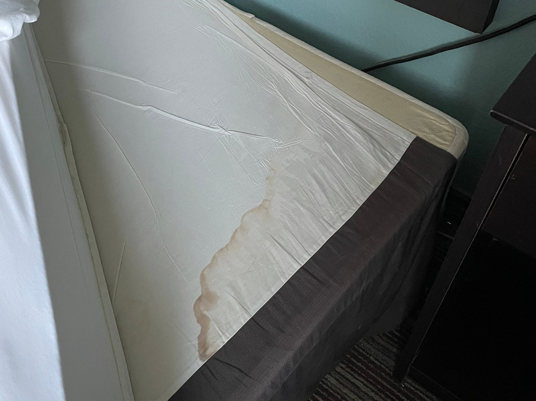 Super 8 by Wyndham Brenham TX主图