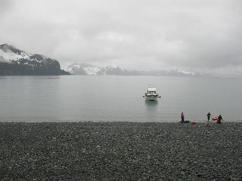 Sunny Cove Sea Kayaking-苏厄德必去景点