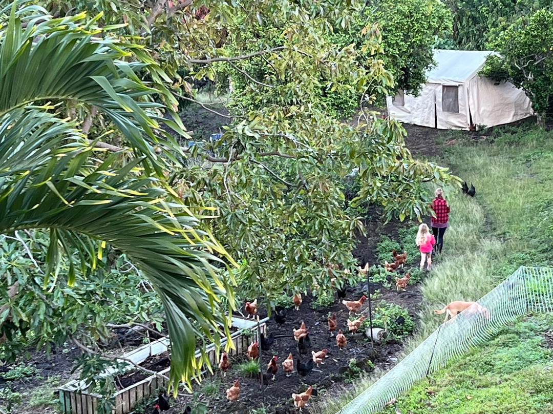 海勒华拉来住宿加早餐旅馆主图