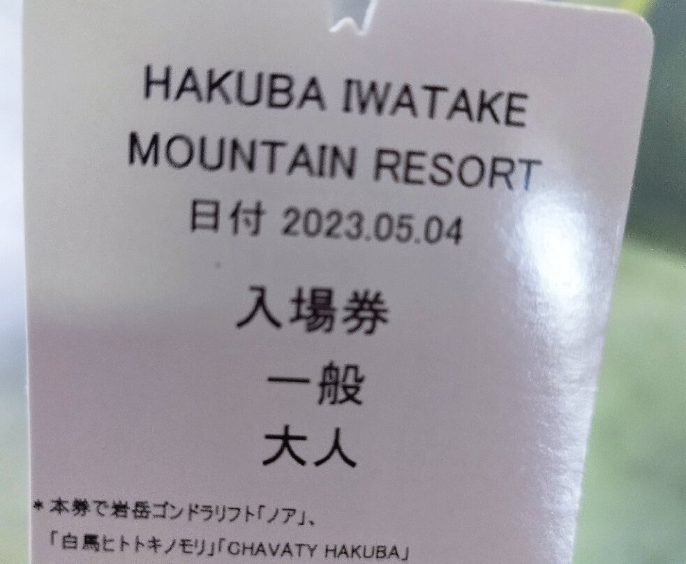 Hakuba Iwatake Mountain Resort景点图片