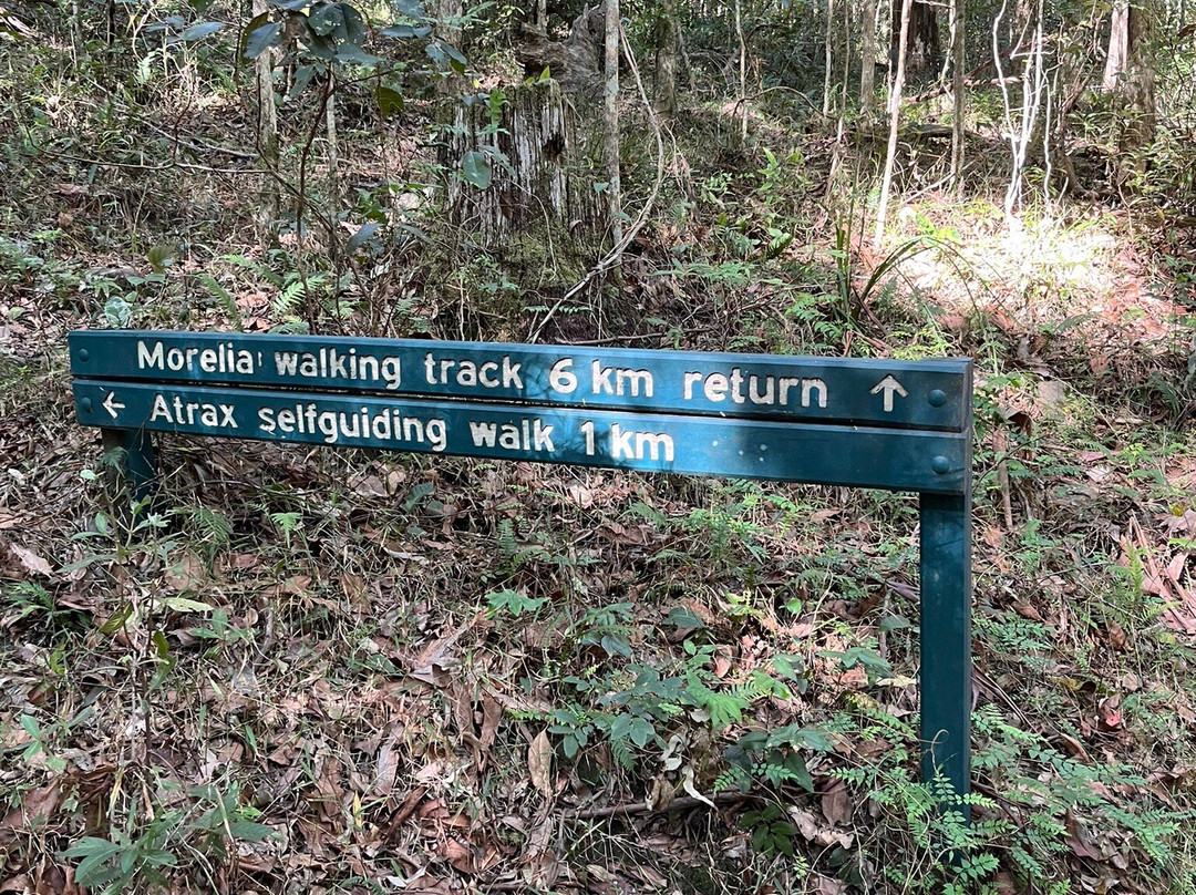 D’Aguilar National Park景点图片