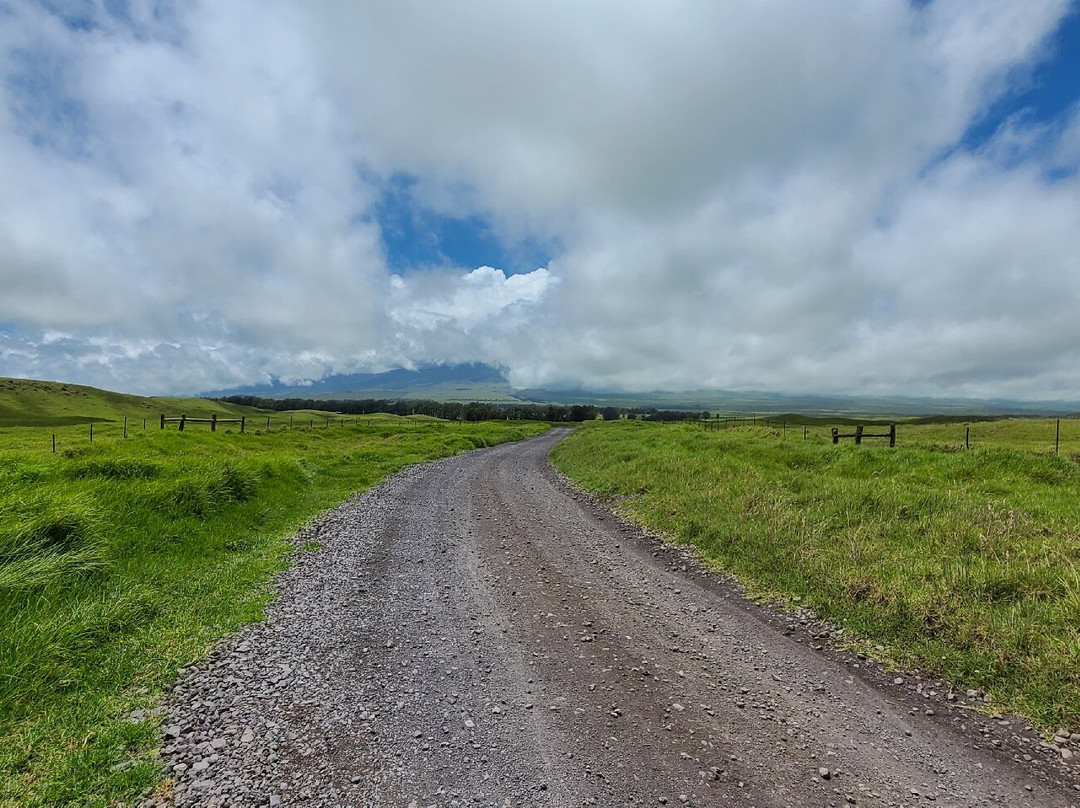 Big Island Bike Tours景点图片