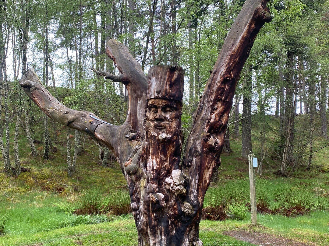 Frank Bruce Sculpture Trail景点图片
