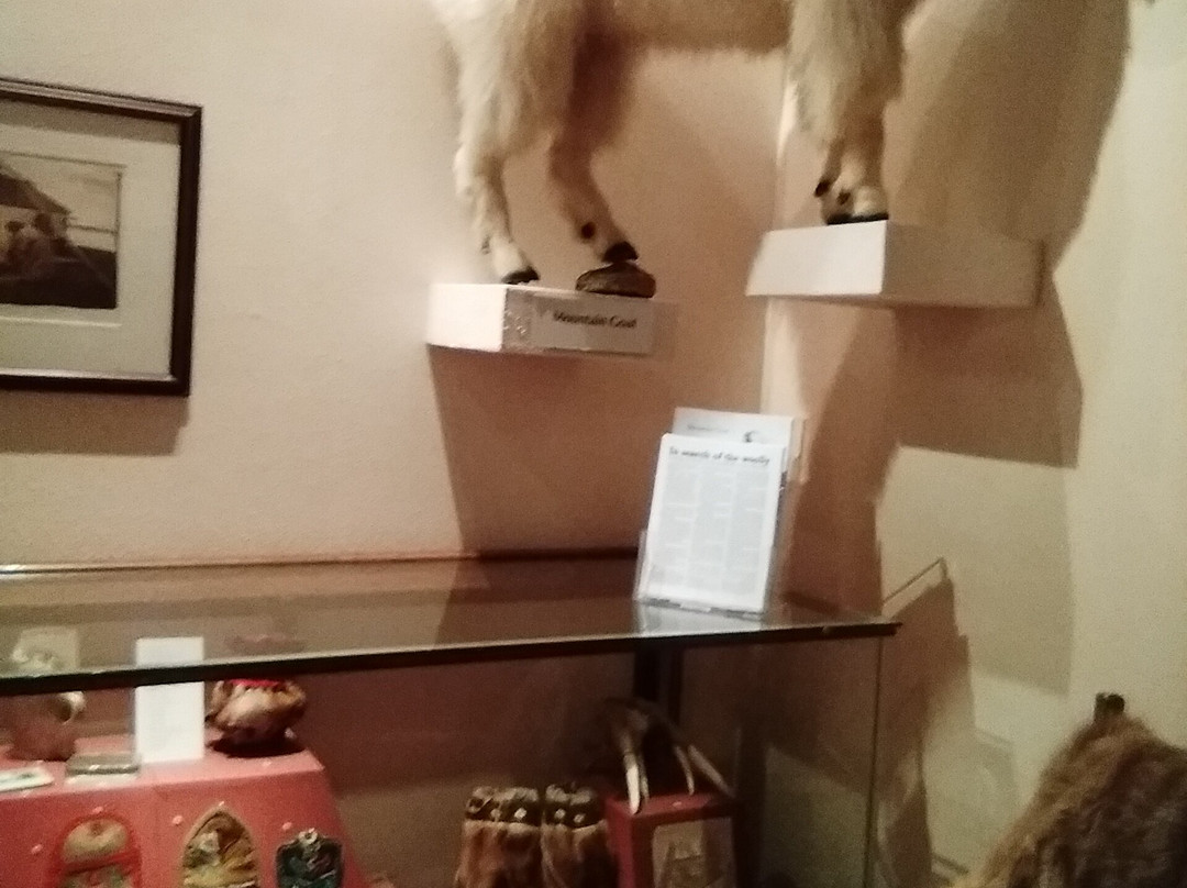 Skagway Museum and Archives-史凯威必去景点