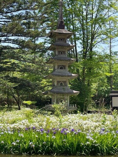 Oshino Shinobi no Sato-忍野村必去景点