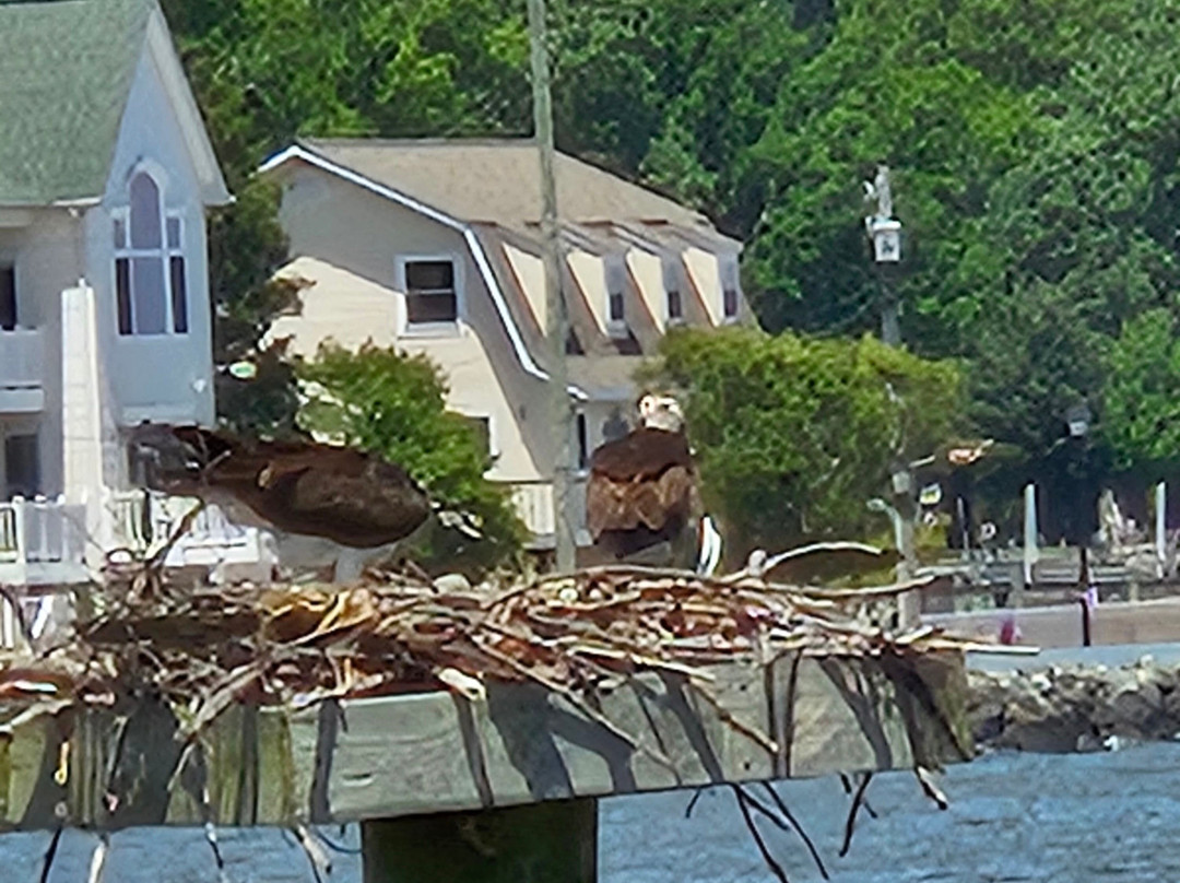 Rod 'N' Reel Resort主图