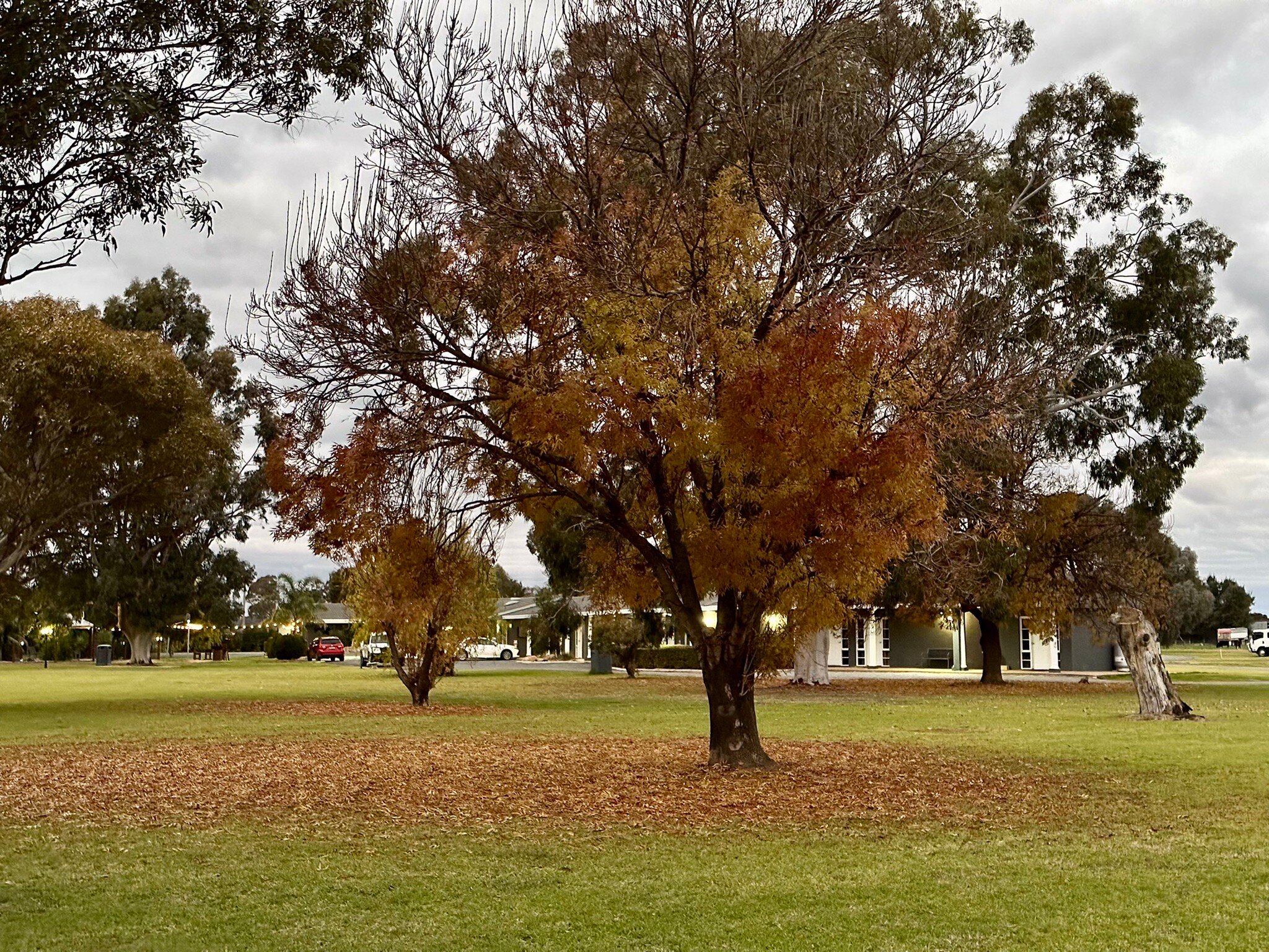 Australian Homestead-官方