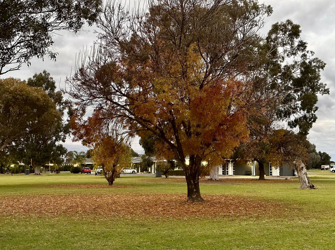 Australian Homestead主图