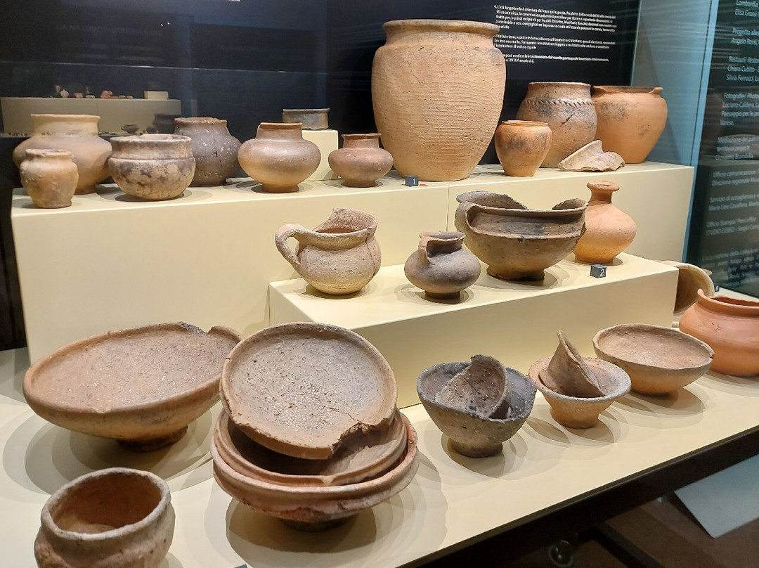 Museo Archeologico Nazionale della Lomellina景点图片