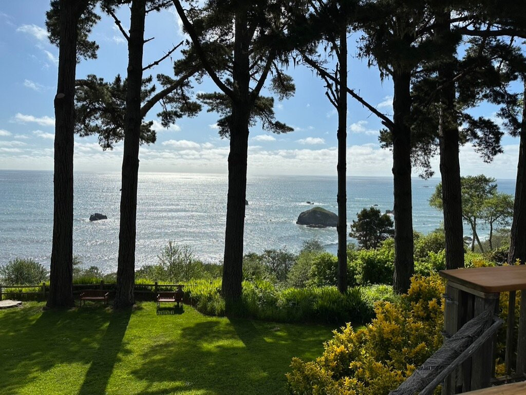 Lost Whale Inn主图