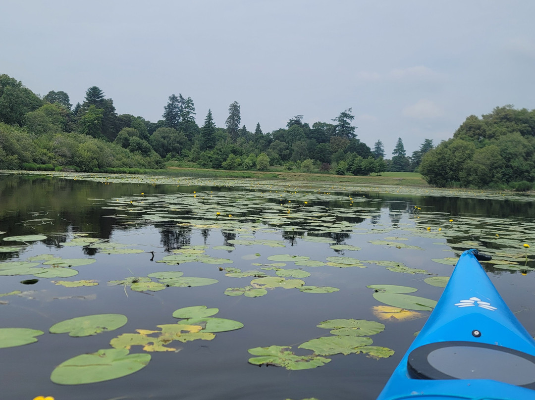 Lough Rynn Kayaking Tours景点图片