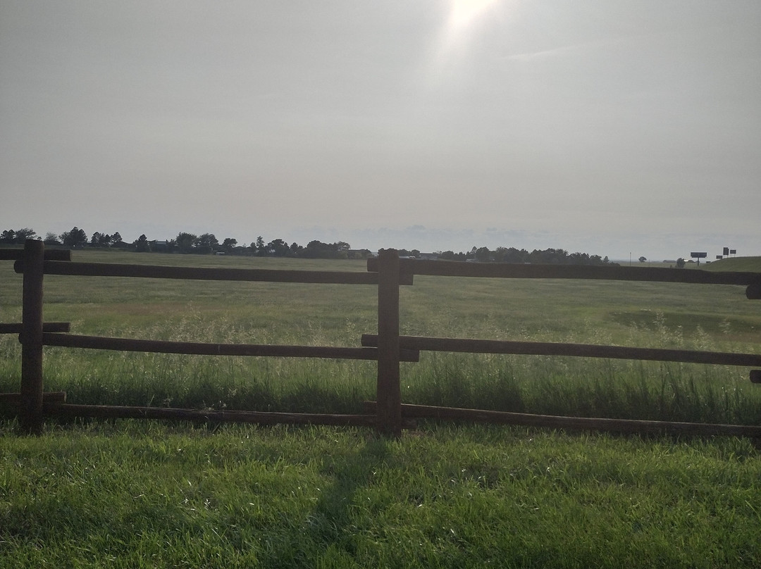 Frontier Cabins Motel主图