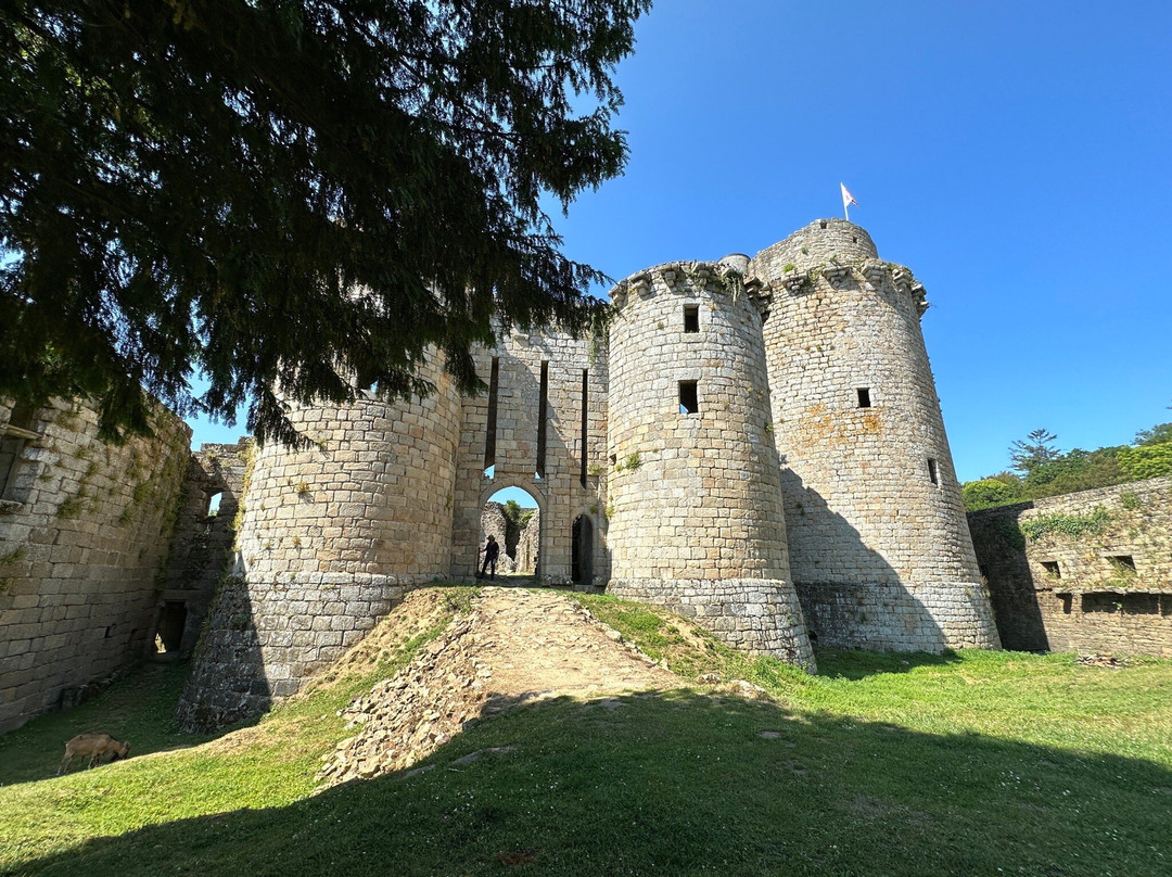 Chateau de Tonquedec景点图片
