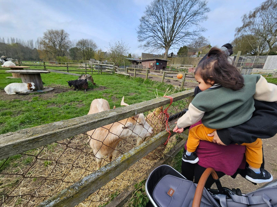 Brockswood Animal Sanctuary景点图片