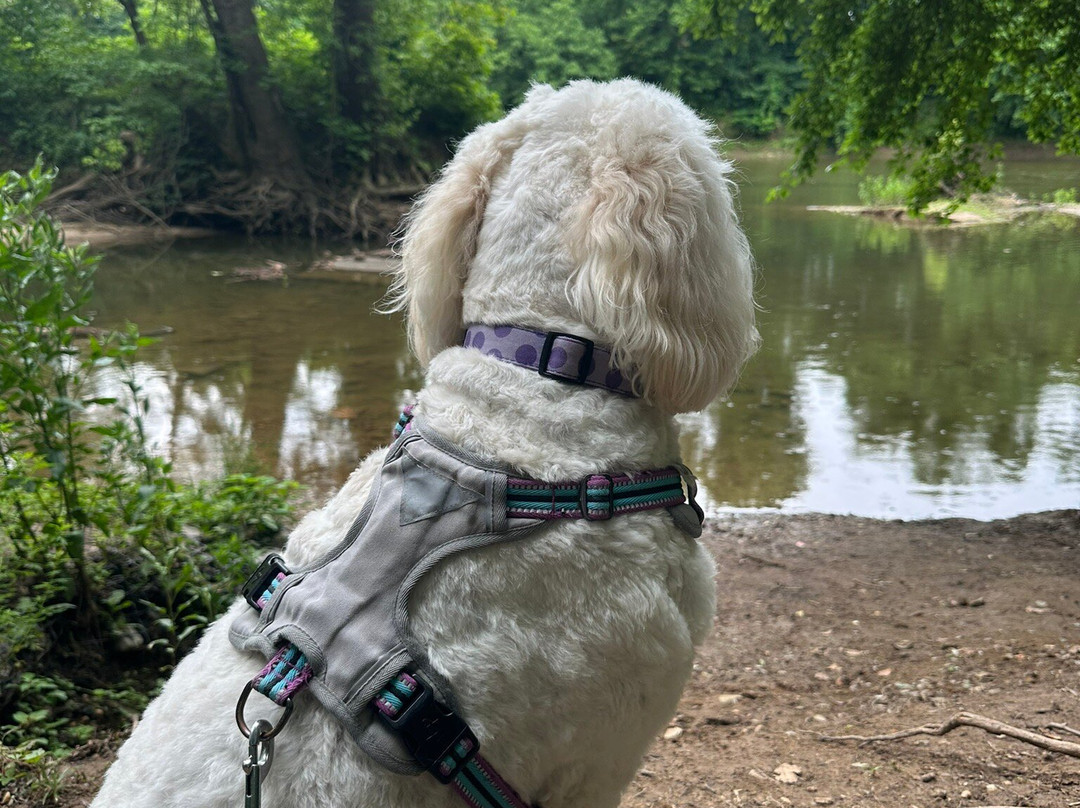 C&O Canal Historical Park景点图片
