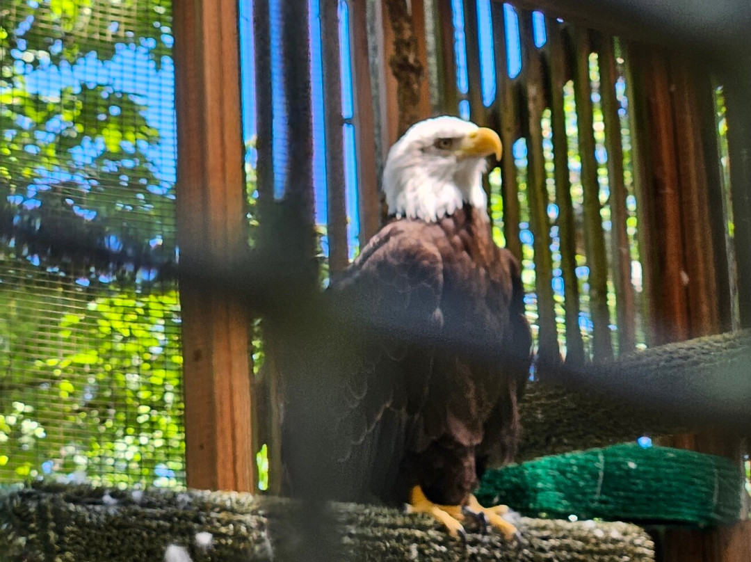 卡斯卡底猛禽中心-尤金必去景点