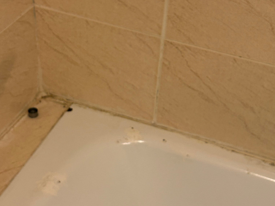 Al Murjan Palace Hotel主图