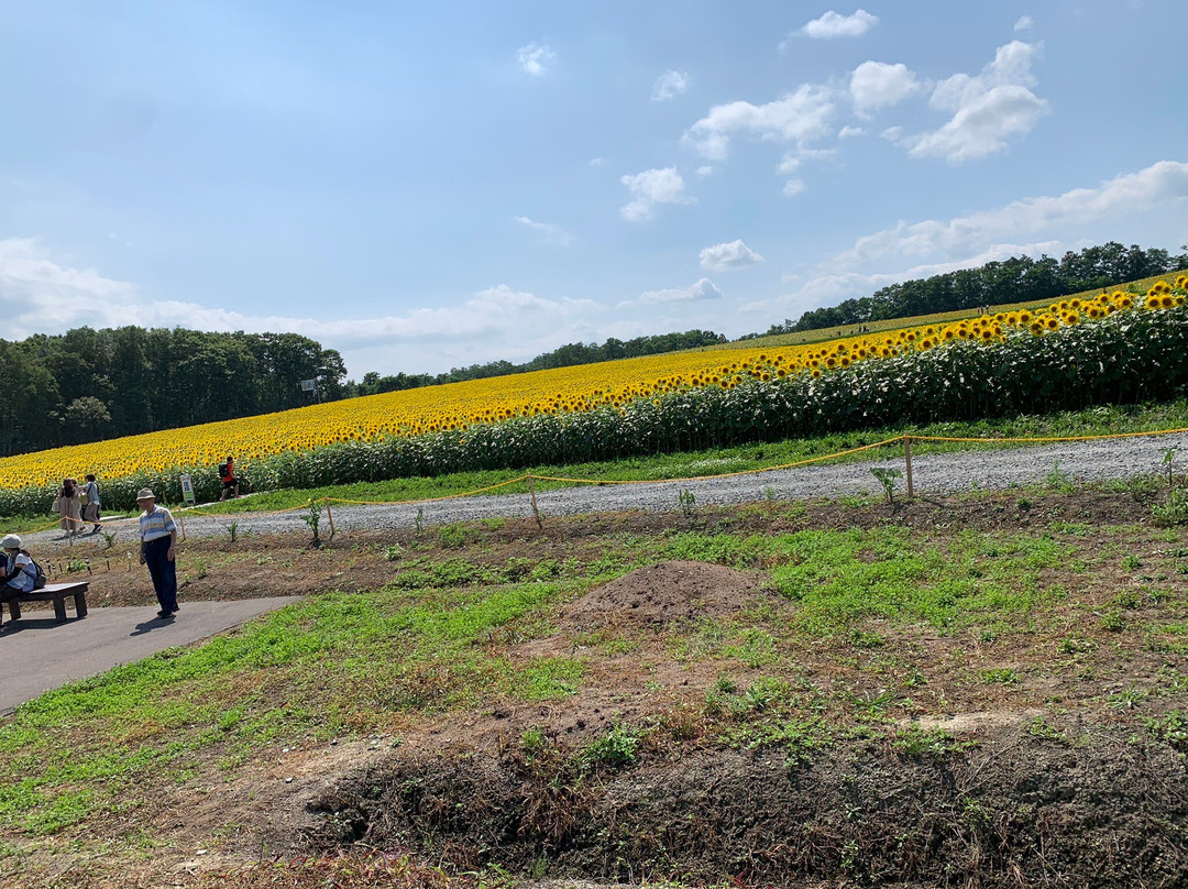 Himawari no Sato-北龙町必去景点