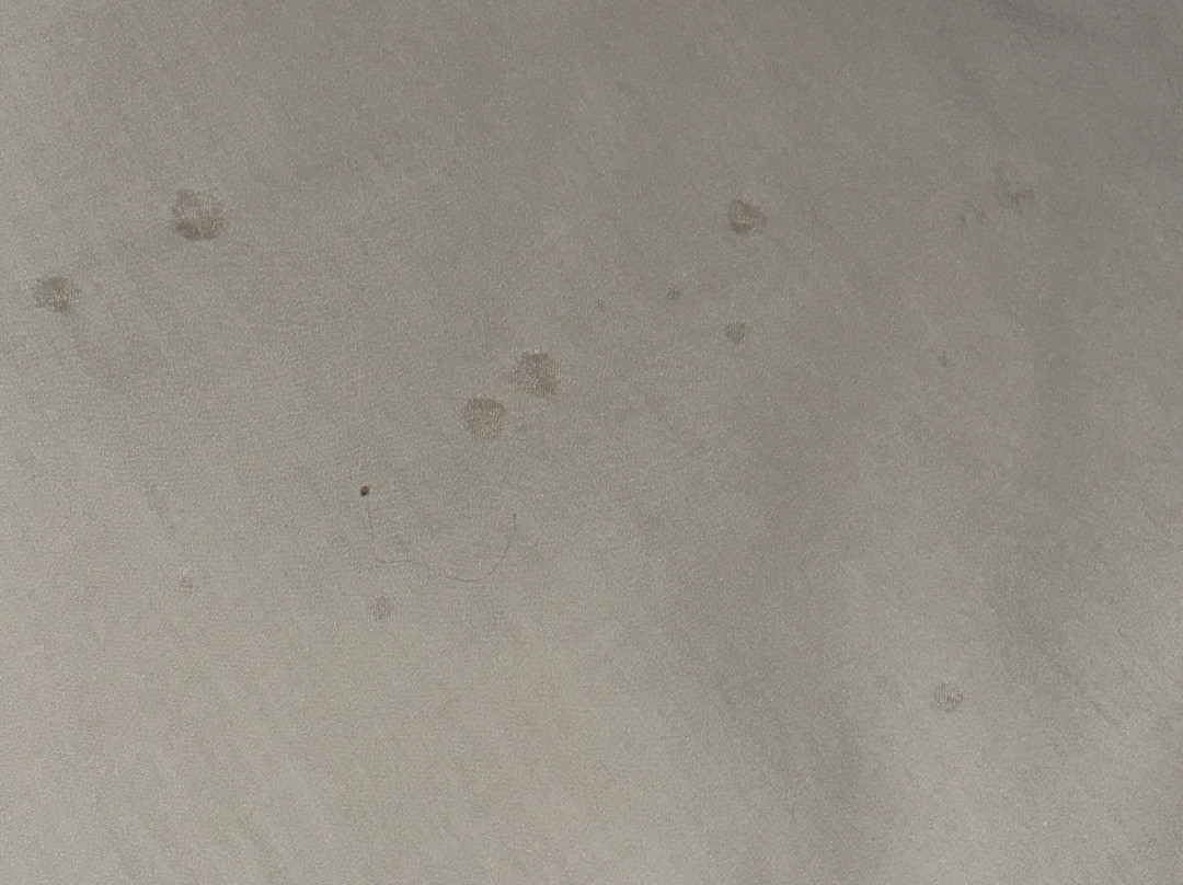 Days Inn & Suites by Wyndham Pocahontas主图