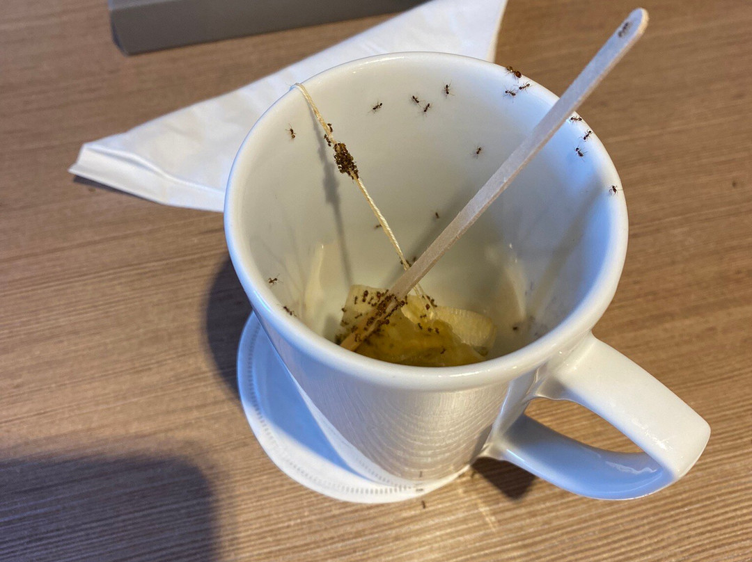 水星维纳南夏纳酒店主图