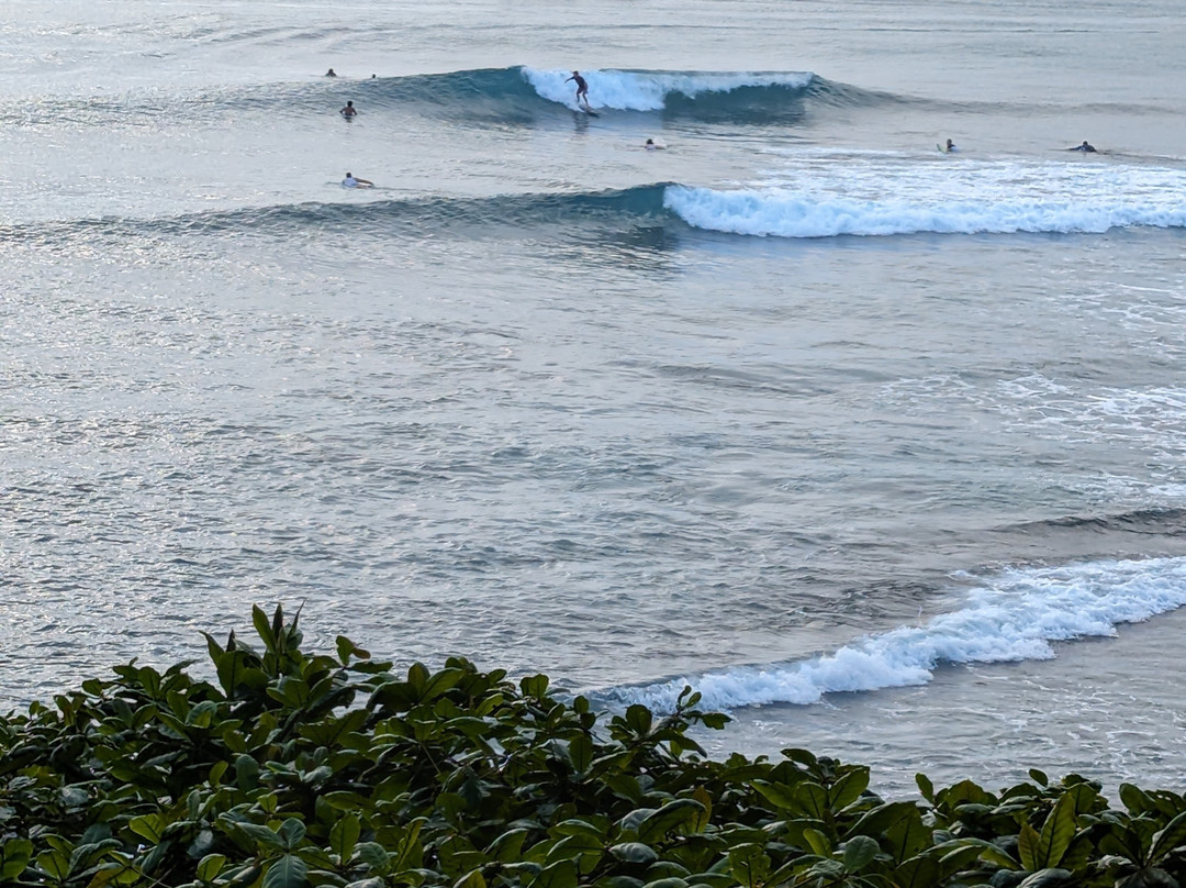 Mentawai Surf Retreat®主图