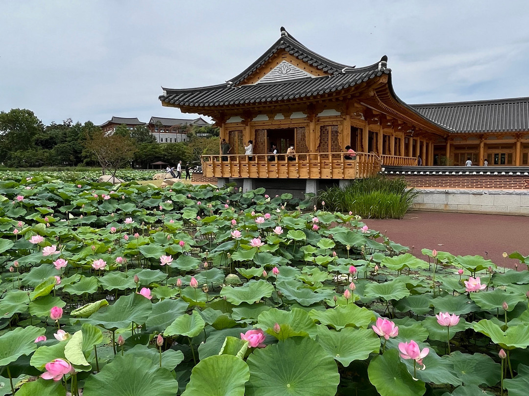 Deokjin Park-全州市必去景点