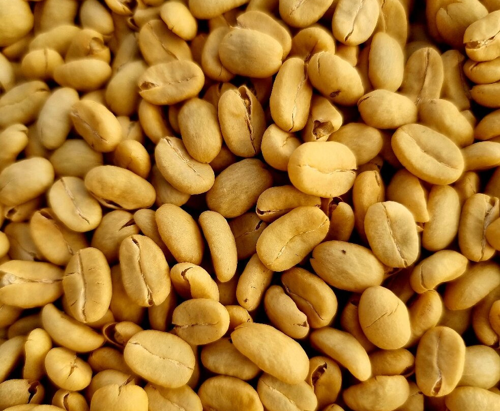Kebun Kopi Tani景点图片