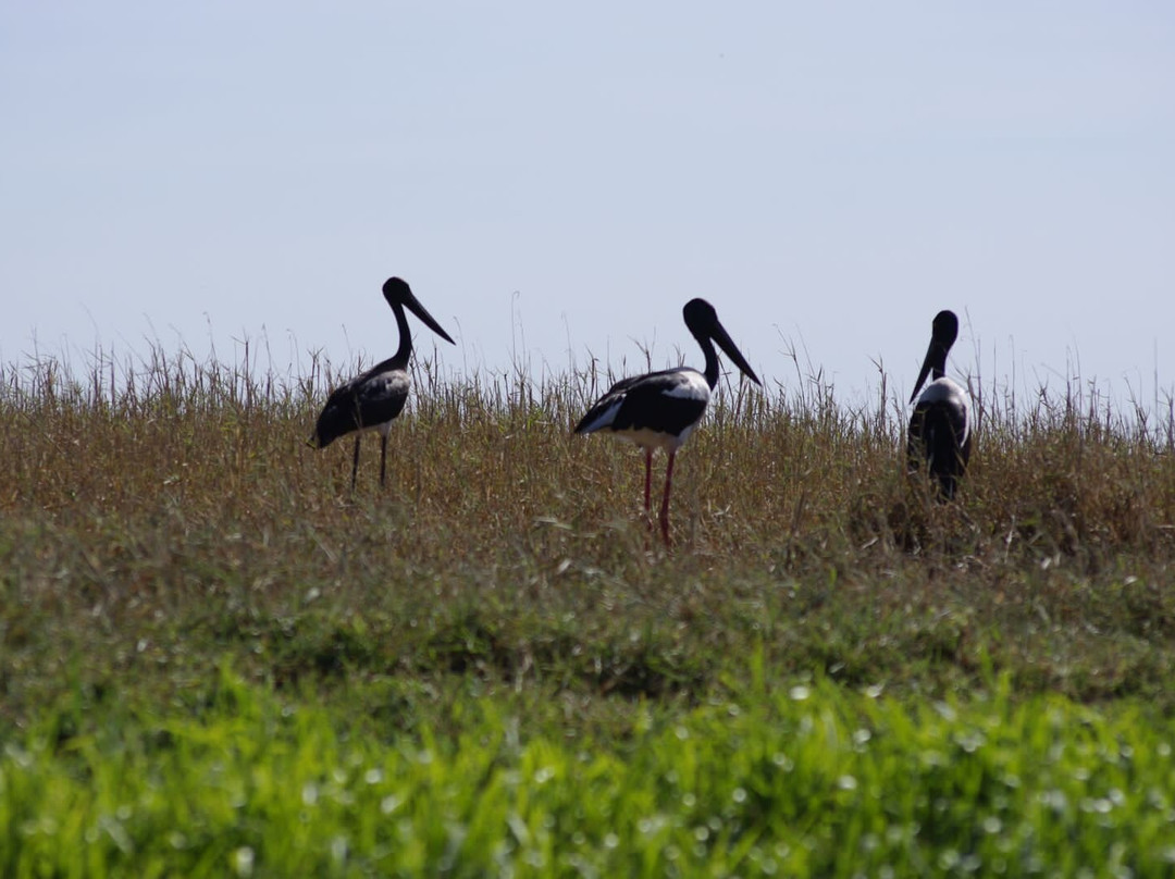 Barra Private Tours-达尔文市必去景点